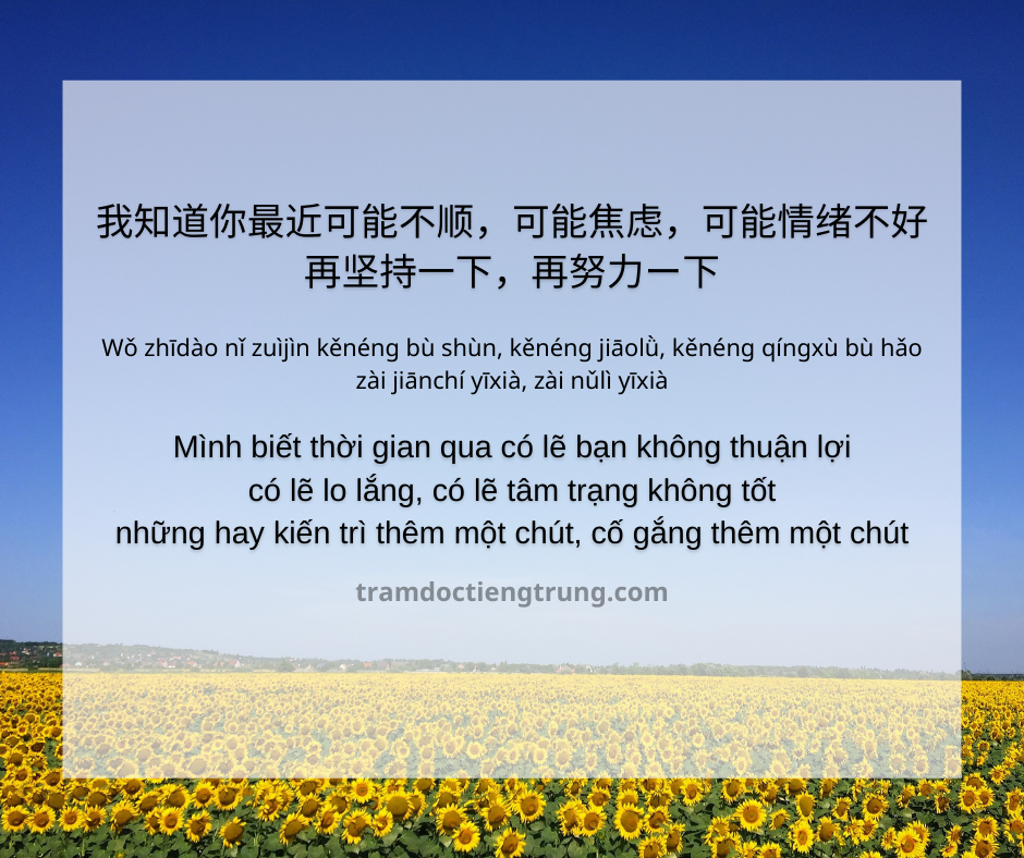 Quote: Mình biết thời gian qua có lẽ bạn không thuận lợi có lẽ lo lắng, có lẽ tâm trạng không tốt những hay kiến trì thêm một chút, cố gắng thêm một chút