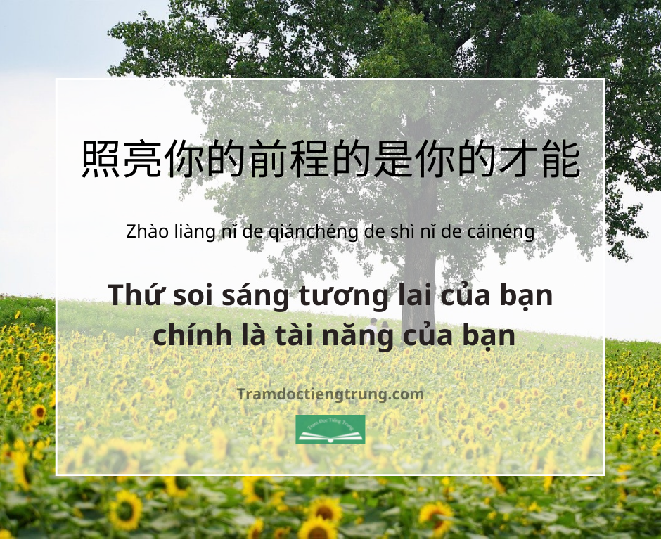 Quote: Thứ soi sáng tương lai của bạn chính là tài năng của bạn