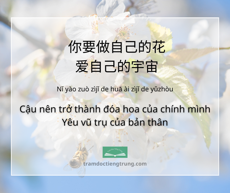 quote: Cậu nên trở thành đóa hoa của chính mình Yêu vũ trụ của bản thân