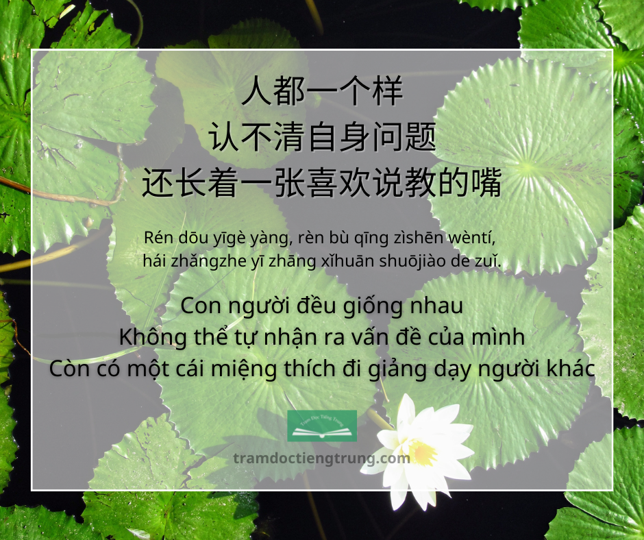 Quote: Con người đều giống nhau Không thể tự nhận ra vấn đề của mình Còn có một cái miệng thích đi giảng dạy người khác