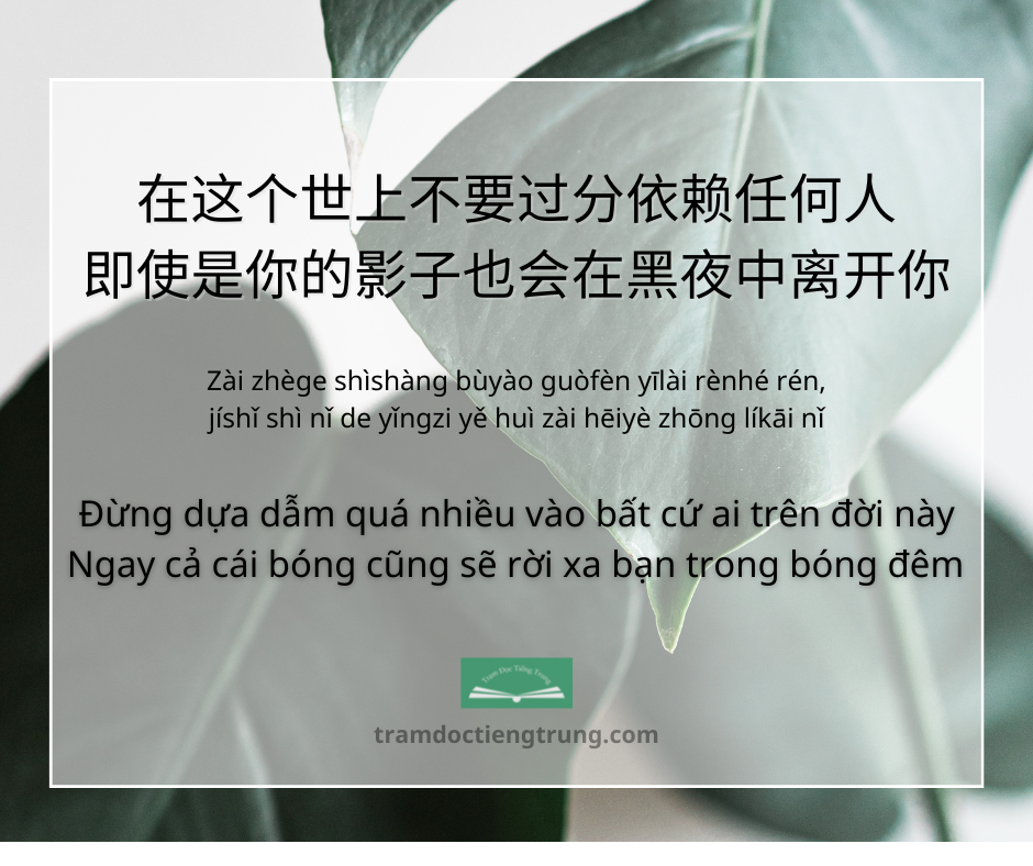 Quote: Đừng dựa dẫm quá nhiều vào bất cứ ai trên đời này Ngay cả cái bóng cũng sẽ rời xa bạn trong bóng đêm