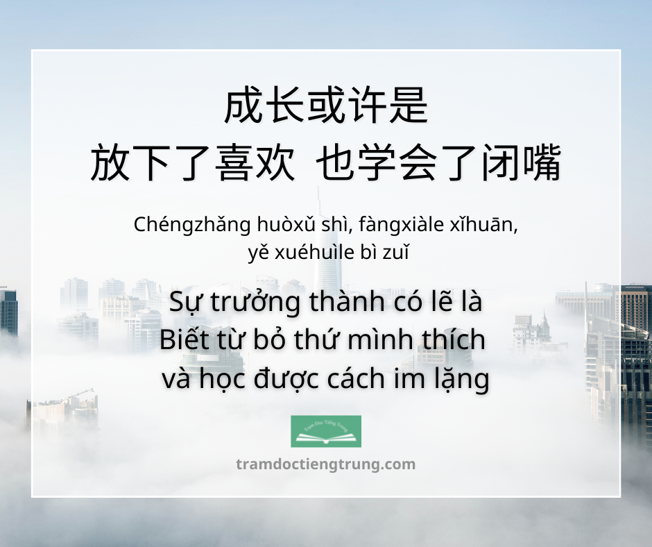 quote: Sự trưởng thành có lẽ là Biết từ bỏ thứ mình thích và học được cách im lặng