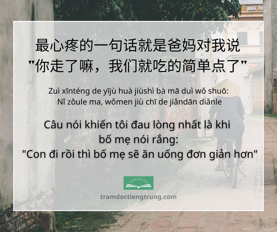 Quote: Câu nói khiến tôi đau lòng nhất là khi bố mẹ nói rắng: "Con đi rồi thì bố mẹ sẽ ăn uống đơn giản hơn"