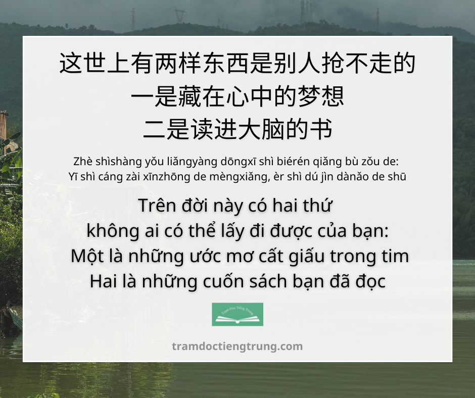 Quote: Trên đời này có hai thứ không ai có thể lấy đi được của bạn: Một là những ước mơ cất giấu trong tim Hai là những cuốn sách bạn đã đọc