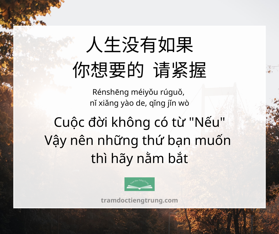 Quote: Cuộc đời không có từ "Nếu" Vậy nên những thứ bạn muốn thì hãy nằm bắt