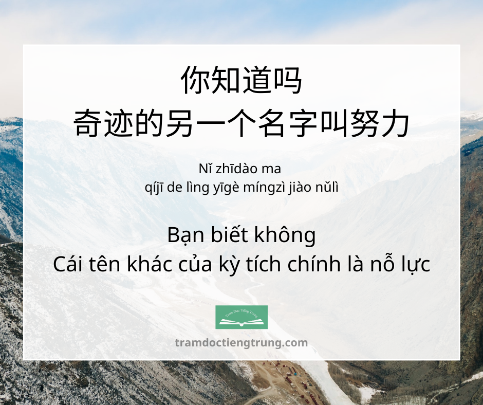 quote: Bạn biết không Cái tên khác của kỳ tích chính là nỗ lực