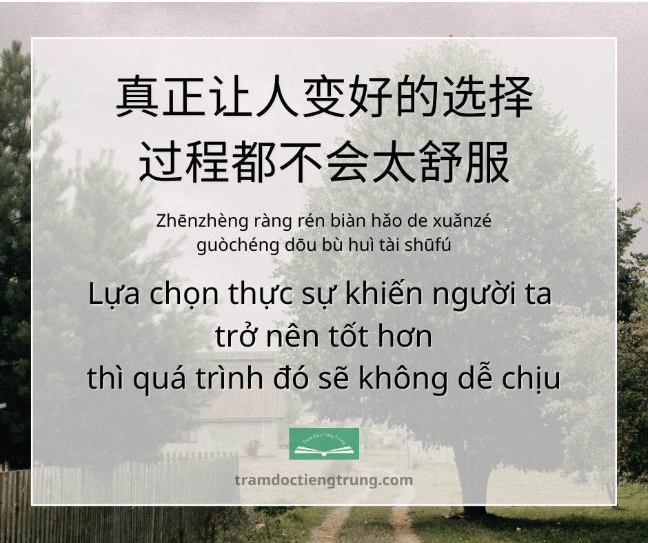 Quote: Lựa chọn thực sự khiến người ta trở nên tốt hơn thì quá trình đó sẽ không dễ chịu