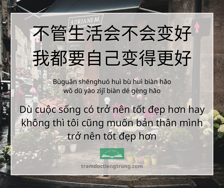 Quote: Dù cuộc sống có trở nên tốt đẹp hơn hay không thì tôi cũng muốn bản thân mình trở nên tốt đẹp hơn