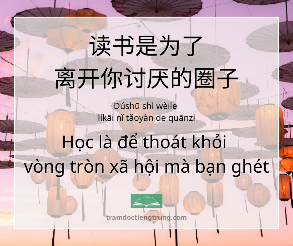 Quote: Học là để thoát khỏi vòng tròn xã hội mà bạn ghét